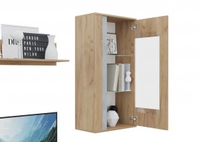 Гостиная Омега (Крафт золотой-Бетон) в Нытве - nytva.mebel24.online | фото 6
