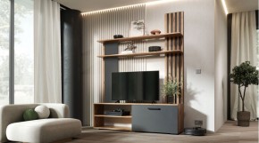КАРОЛИНА Гостиная в Нытве - nytva.mebel24.online | фото