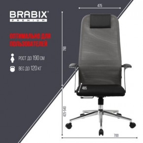 Кресло офисное BRABIX PREMIUM "Ultimate EX-801" хром, плотная двойная сетка Х2, черное/серое, 532918 в Нытве - nytva.mebel24.online | фото 5