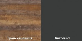 Кухонный гарнитур угловой Трансильвания 2600х1600 мм (Стол. 38 мм) в Нытве - nytva.mebel24.online | фото 3