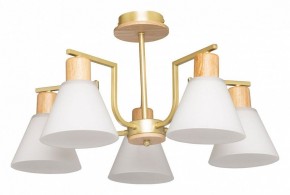 Люстра на штанге De City Дэла 45 635016505 в Нытве - nytva.mebel24.online | фото