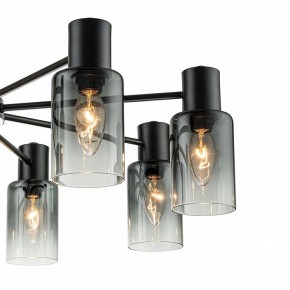 Люстра на штанге Escada Diversity 2120/8P Black в Нытве - nytva.mebel24.online | фото 5