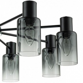 Люстра на штанге Escada Diversity 2120/8P Black в Нытве - nytva.mebel24.online | фото 6