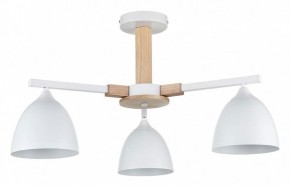 Люстра на штанге Lumion Colange 8095/3C в Нытве - nytva.mebel24.online | фото