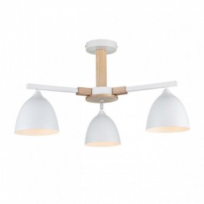 Люстра на штанге Lumion Colange 8095/3C в Нытве - nytva.mebel24.online | фото 2