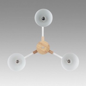 Люстра на штанге Lumion Colange 8095/3C в Нытве - nytva.mebel24.online | фото 3
