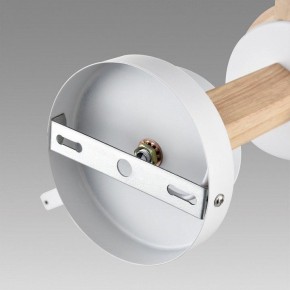 Люстра на штанге Lumion Colange 8095/3C в Нытве - nytva.mebel24.online | фото 6