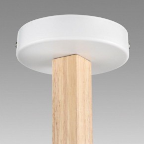 Люстра на штанге Lumion Colange 8095/3C в Нытве - nytva.mebel24.online | фото 9