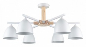 Люстра на штанге Lumion Colange 8095/6C в Нытве - nytva.mebel24.online | фото