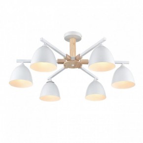 Люстра на штанге Lumion Colange 8095/6C в Нытве - nytva.mebel24.online | фото 3