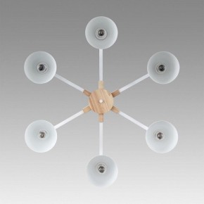 Люстра на штанге Lumion Colange 8095/6C в Нытве - nytva.mebel24.online | фото 4