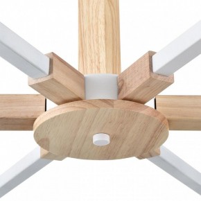 Люстра на штанге Lumion Colange 8095/6C в Нытве - nytva.mebel24.online | фото 7