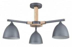 Люстра на штанге Lumion Colange 8096/3C в Нытве - nytva.mebel24.online | фото