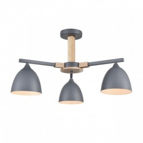 Люстра на штанге Lumion Colange 8096/3C в Нытве - nytva.mebel24.online | фото 2