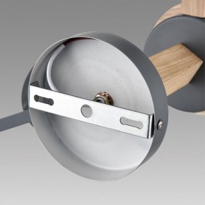 Люстра на штанге Lumion Colange 8096/3C в Нытве - nytva.mebel24.online | фото 6