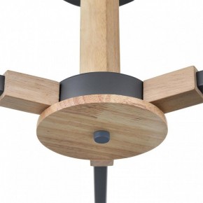 Люстра на штанге Lumion Colange 8096/3C в Нытве - nytva.mebel24.online | фото 7