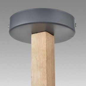 Люстра на штанге Lumion Colange 8096/3C в Нытве - nytva.mebel24.online | фото 9