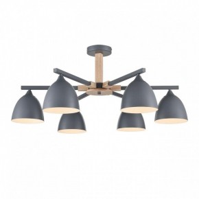 Люстра на штанге Lumion Colange 8096/6C в Нытве - nytva.mebel24.online | фото 2