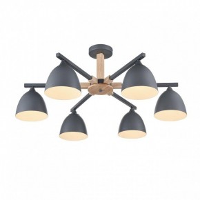 Люстра на штанге Lumion Colange 8096/6C в Нытве - nytva.mebel24.online | фото 3