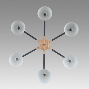 Люстра на штанге Lumion Colange 8096/6C в Нытве - nytva.mebel24.online | фото 4