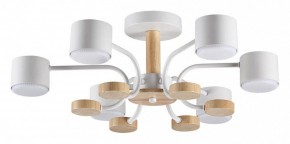 Люстра на штанге Lumion Rondo 8231/6C в Нытве - nytva.mebel24.online | фото