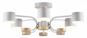 Люстра на штанге Lumion Rondo 8231/6C в Нытве - nytva.mebel24.online | фото 2