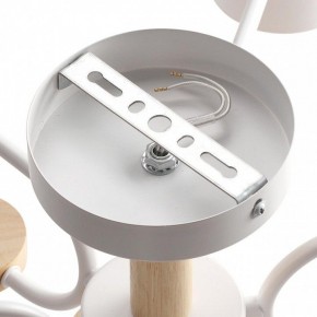 Люстра на штанге Lumion Rondo 8231/6C в Нытве - nytva.mebel24.online | фото 6