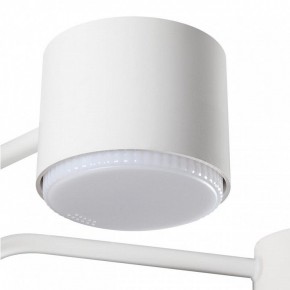 Люстра на штанге Lumion Rondo 8231/6C в Нытве - nytva.mebel24.online | фото 7