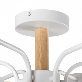 Люстра на штанге Lumion Rondo 8231/6C в Нытве - nytva.mebel24.online | фото 8
