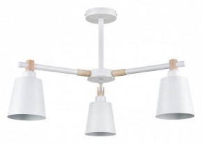 Люстра на штанге Lumion Rosalina 8097/3C в Нытве - nytva.mebel24.online | фото