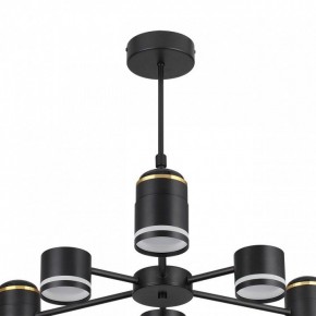 Люстра на штанге Lumion Virsava 8234/6C в Нытве - nytva.mebel24.online | фото 5