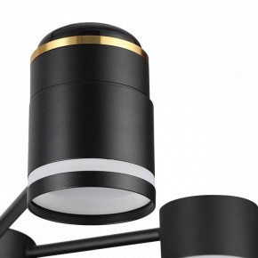 Люстра на штанге Lumion Virsava 8234/6C в Нытве - nytva.mebel24.online | фото 8