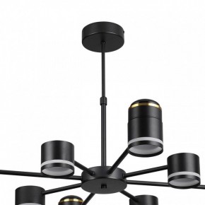 Люстра на штанге Lumion Virsava 8234/8C в Нытве - nytva.mebel24.online | фото 5