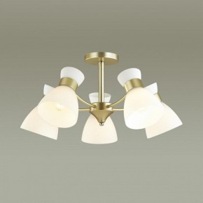Люстра на штанге Lumion Wilma 4535/5C в Нытве - nytva.mebel24.online | фото 3