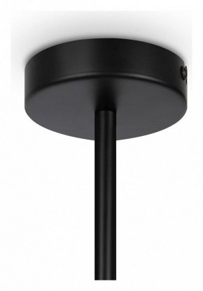 Люстра на штанге Maytoni Memory MOD177PL-04B в Нытве - nytva.mebel24.online | фото 4
