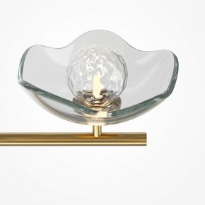 Люстра на штанге Maytoni Miracle MOD207PL-05BS в Нытве - nytva.mebel24.online | фото 5