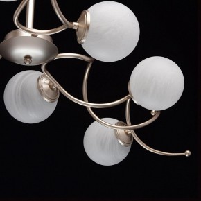Люстра на штанге MW-Light Оливия 5 306012709 в Нытве - nytva.mebel24.online | фото 10