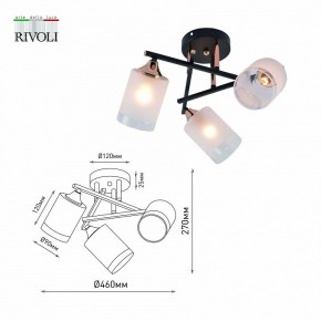 Люстра на штанге Rivoli Fiona Б0059259 в Нытве - nytva.mebel24.online | фото