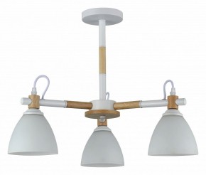 Люстра на штанге Rivoli Louise Б0060982 в Нытве - nytva.mebel24.online | фото
