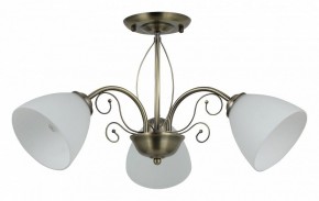 Люстра на штанге Rivoli Sue Б0060985 в Нытве - nytva.mebel24.online | фото