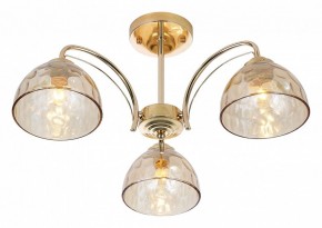 Люстра на штанге Rivoli Terri Б0060988 в Нытве - nytva.mebel24.online | фото