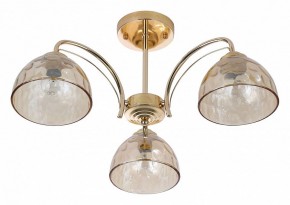 Люстра на штанге Rivoli Terri Б0060988 в Нытве - nytva.mebel24.online | фото 2