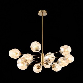 Люстра на штанге ST-Luce Fovia SL1500.203.12 в Нытве - nytva.mebel24.online | фото 4