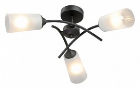 Люстра на штанге Vitaluce V2850 V2850-1/3PL в Нытве - nytva.mebel24.online | фото 2