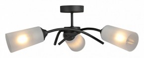 Люстра на штанге Vitaluce V2850 V2850-1/3PL в Нытве - nytva.mebel24.online | фото 3