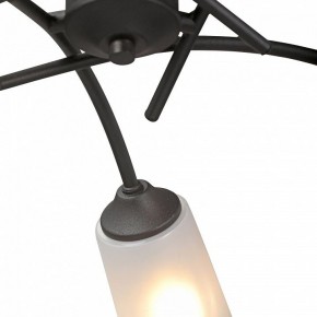 Люстра на штанге Vitaluce V2850 V2850-1/5PL в Нытве - nytva.mebel24.online | фото 6
