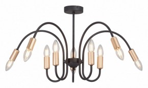 Люстра на штанге Vitaluce V3026 V3026-1/10PL в Нытве - nytva.mebel24.online | фото 2