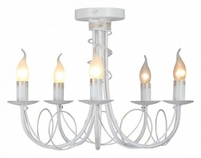Люстра на штанге Vitaluce V3035 V3035-0/5PL в Нытве - nytva.mebel24.online | фото 2