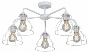 Люстра на штанге Vitaluce V3102 V3102-0/5PL в Нытве - nytva.mebel24.online | фото