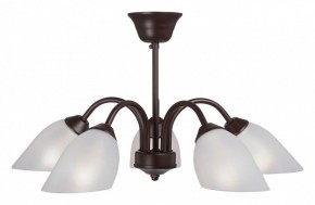 Люстра на штанге Vitaluce V3335 V3335-7/5PL в Нытве - nytva.mebel24.online | фото